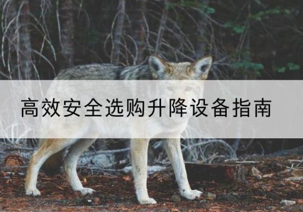 永靖升降货梯厂家推荐-*安全选购升降设备指南
