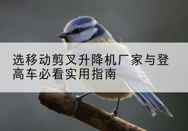 永靖电动升降机厂家-选移动剪叉升降机厂家与登高车必看实用指南