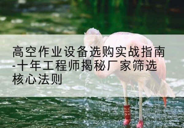 永靖剪叉式升降机厂家-高空作业设备选购实战指南-十年工程师揭秘厂家筛选核心法则